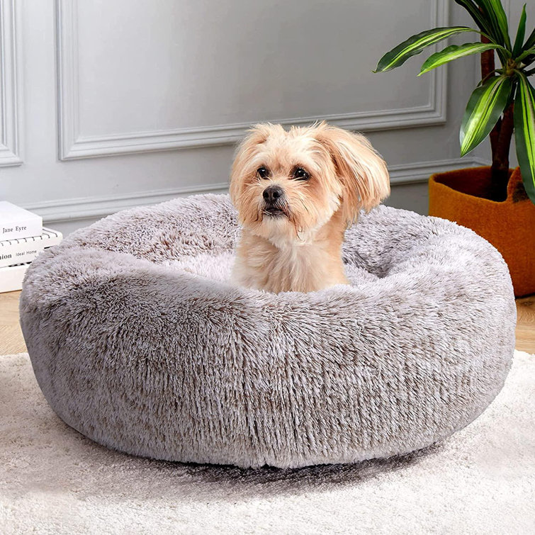 Tucker Murphy Pet™ Calming Dog Bed For Small Dog&Cat Self